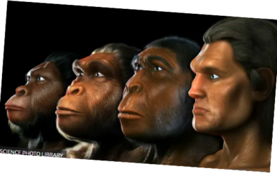 Acerca de la Eficiencia de la Evolución Humana