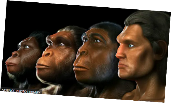 Acerca de la Eficiencia de la Evolución Humana